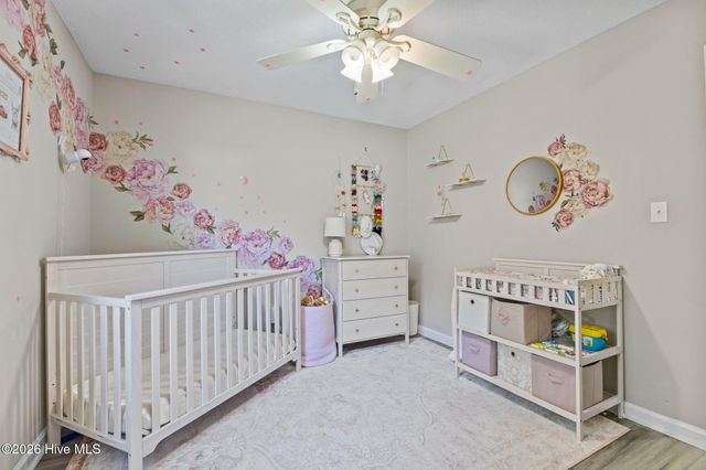 229 Gray Fox Run, Hubert, NC 28539