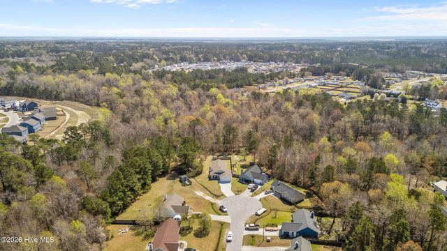 229 Gray Fox Run, Hubert, NC 28539
