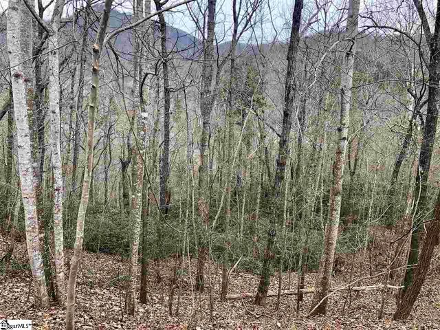 305 Sedgewick Road, Travelers Rest, SC 29690
