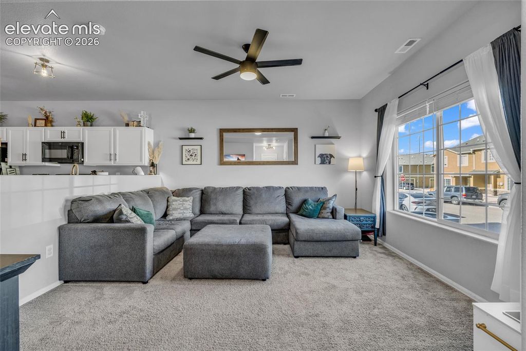 7649 Grand Fir Point, Colorado Springs, CO 80908 — photo 4