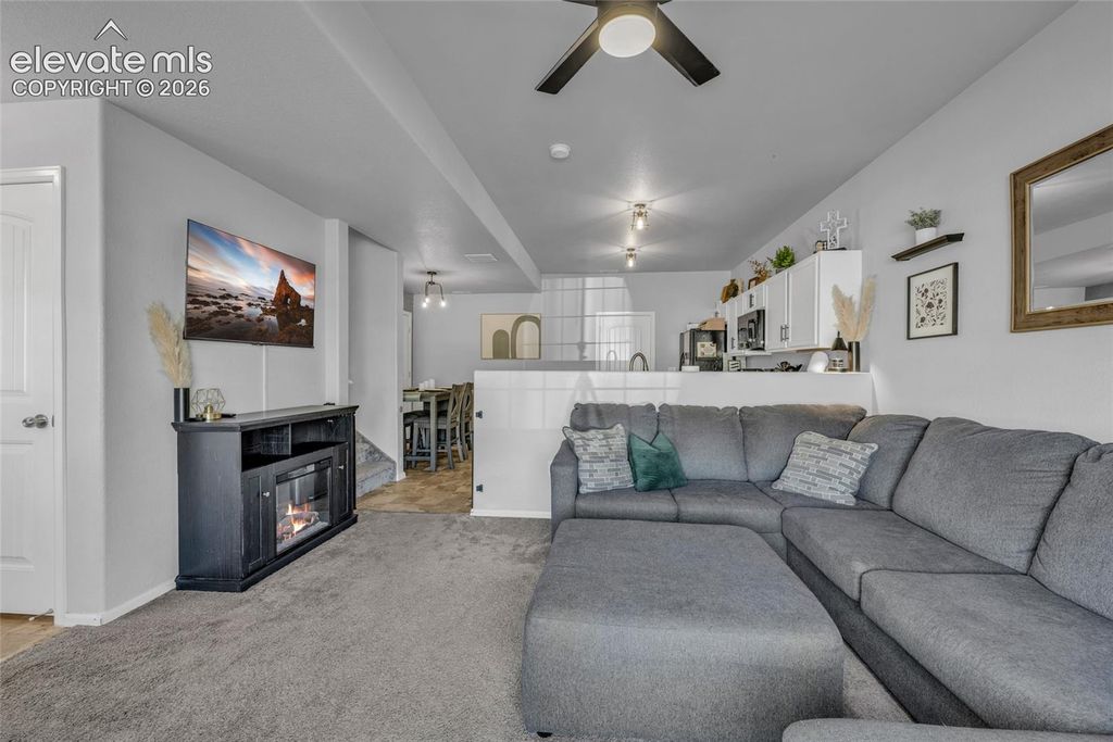 7649 Grand Fir Point, Colorado Springs, CO 80908 — photo 5