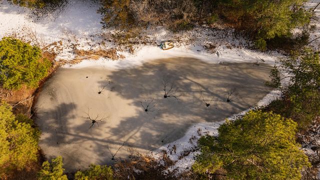 372 Cedar Hill Lane, Marshfield, MO 65706