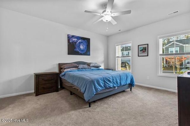 2318 Flowery Branch Drive, Castle Hayne, NC 28429