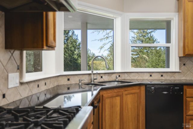 8930 Hwy 116, Forestville, CA 95436