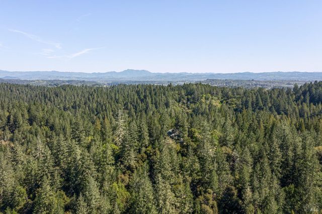 8930 Hwy 116, Forestville, CA 95436