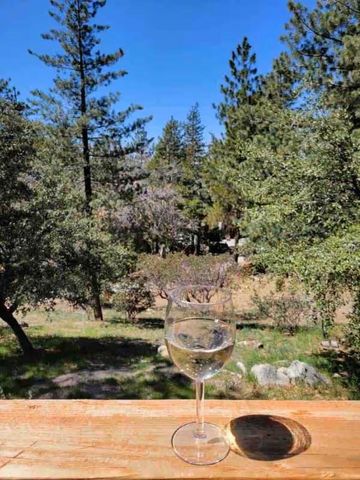 24825 Marion Ridge Road, Idyllwild, CA 92549