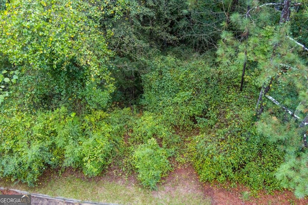 2251 Sumner Court NE LOT #4, Conyers, GA 30012 — photo 3