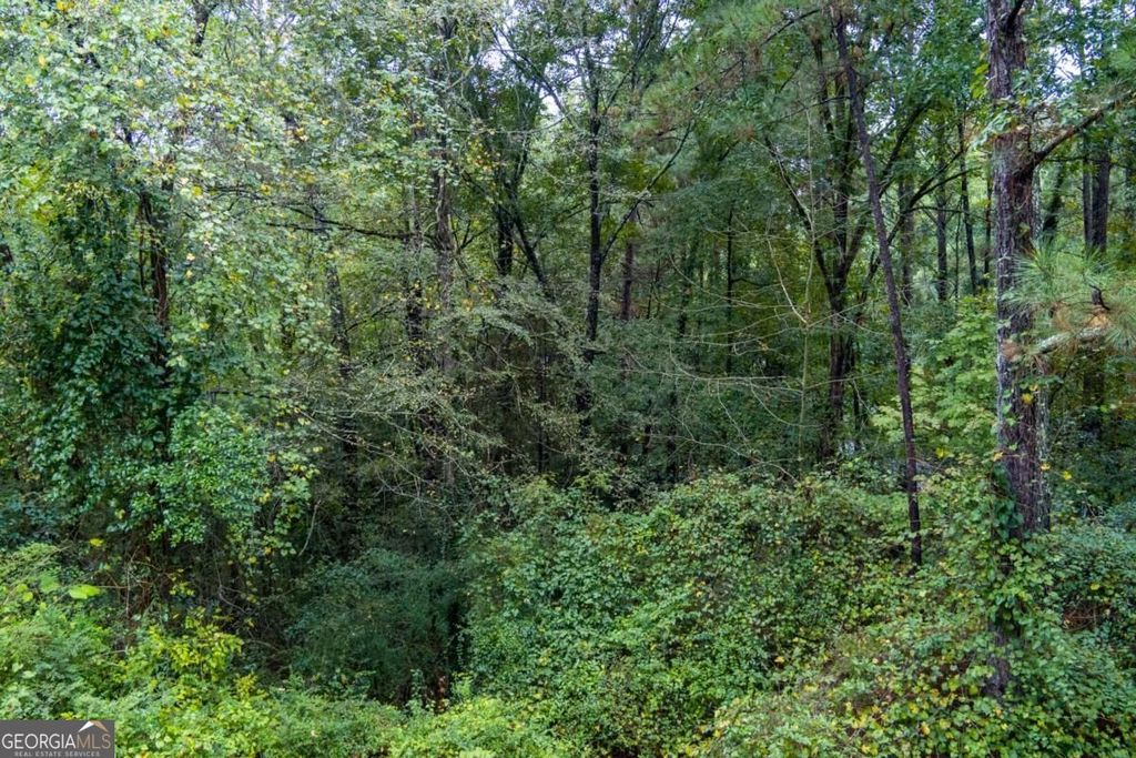 2251 Sumner Court NE LOT #4, Conyers, GA 30012 — photo 4