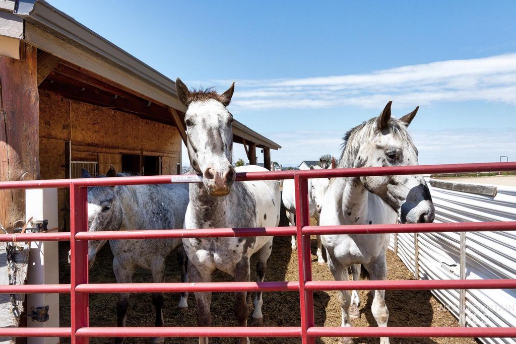 5377 Ten Mile, Meridian, ID 83642 photo 15