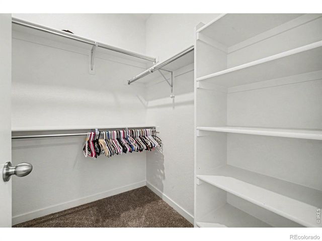 892 Crestone Street, Johnstown, CO 80534