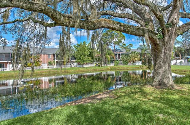 13828 ORANGE SUNSET DRIVE 201, Tampa, FL 33618