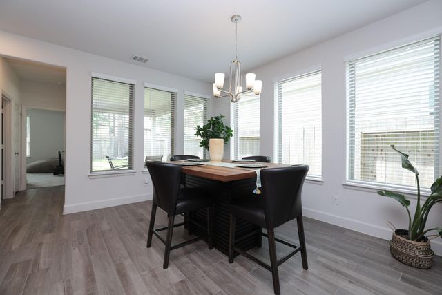 317 Rise Lane, Montgomery, TX 77316