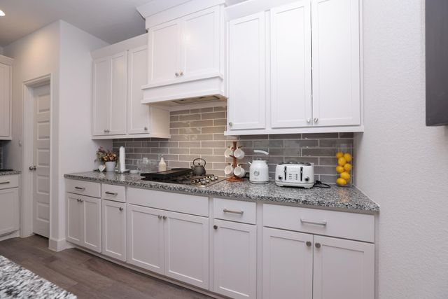 317 Rise Lane, Montgomery, TX 77316