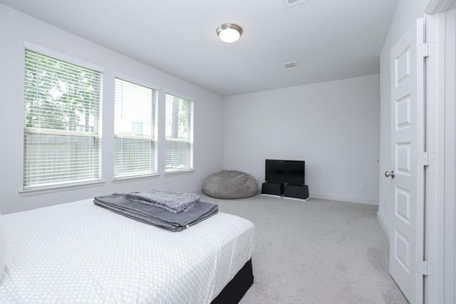 317 Rise Lane, Montgomery, TX 77316