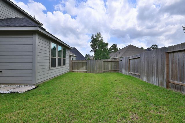 317 Rise Lane, Montgomery, TX 77316