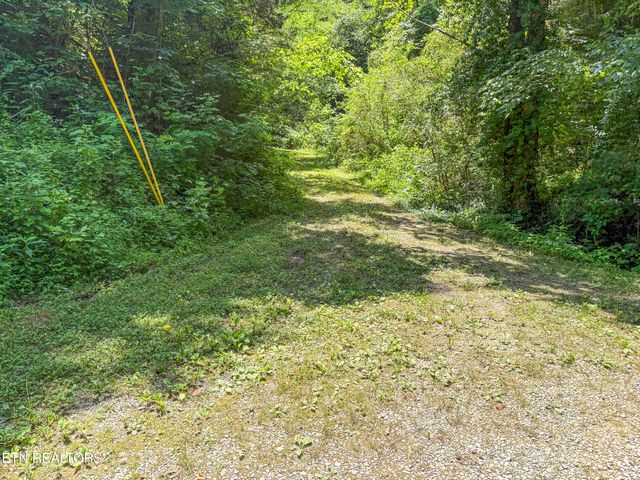 00 TBD Upper Rinehart Rd, Dandridge, TN 37725