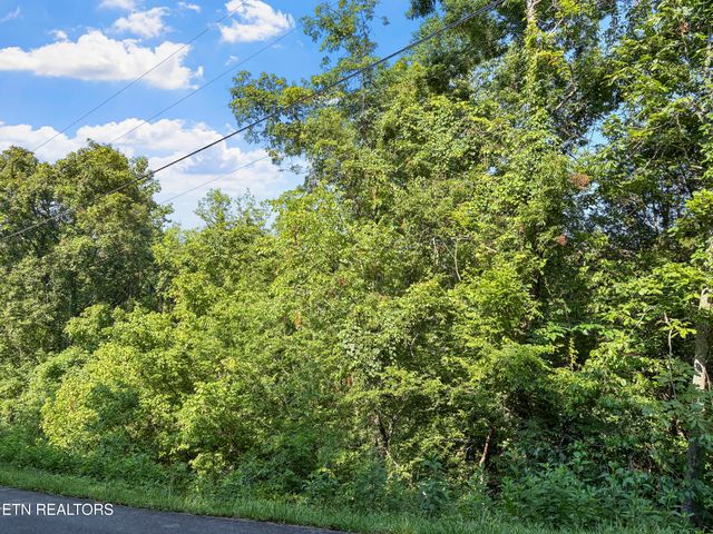 00 TBD Upper Rinehart Rd, Dandridge, TN 37725