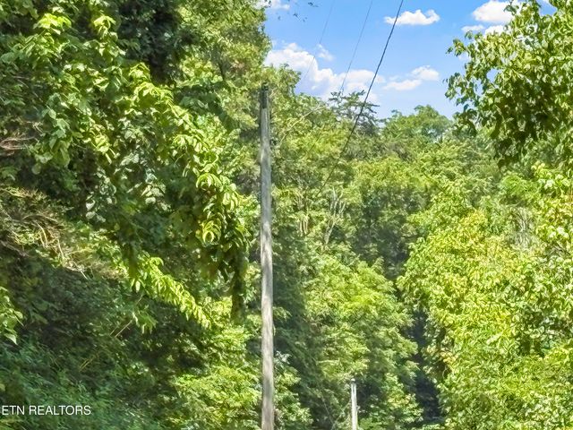 00 TBD Upper Rinehart Rd, Dandridge, TN 37725