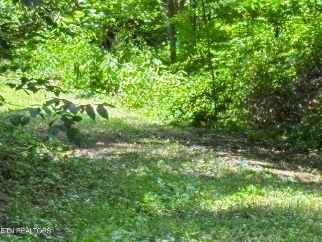00 TBD Upper Rinehart Rd, Dandridge, TN 37725