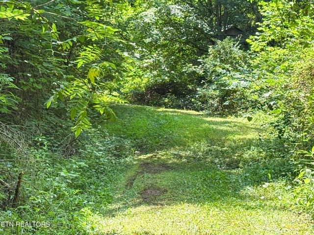 00 TBD Upper Rinehart Rd, Dandridge, TN 37725
