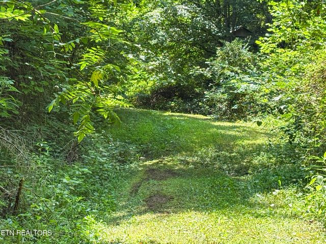 00 TBD Upper Rinehart Rd, Dandridge, TN 37725