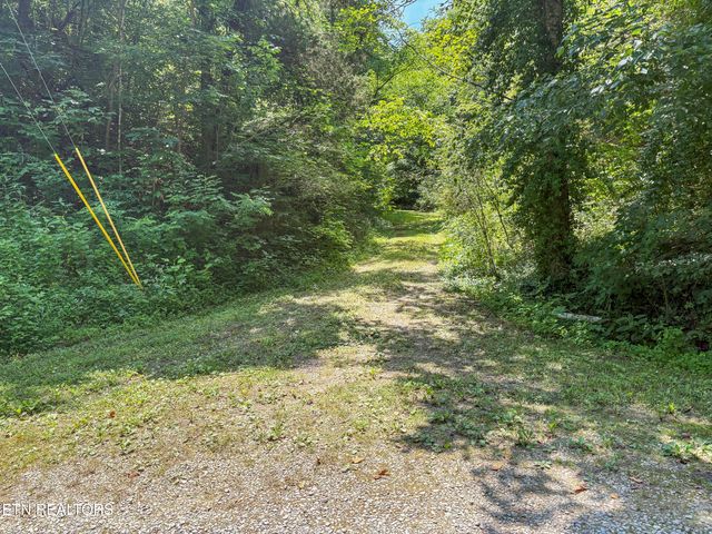00 TBD Upper Rinehart Rd, Dandridge, TN 37725