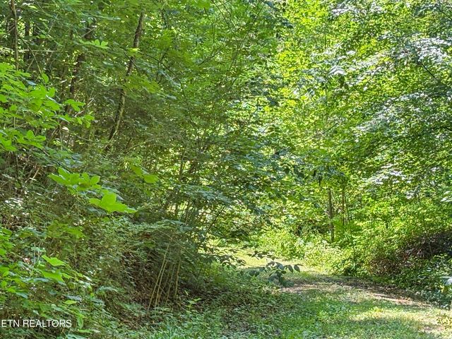 00 TBD Upper Rinehart Rd, Dandridge, TN 37725