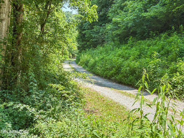 00 TBD Upper Rinehart Rd, Dandridge, TN 37725