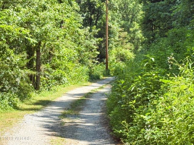 00 TBD Upper Rinehart Rd, Dandridge, TN 37725