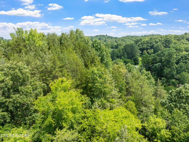00 TBD Upper Rinehart Rd, Dandridge, TN 37725