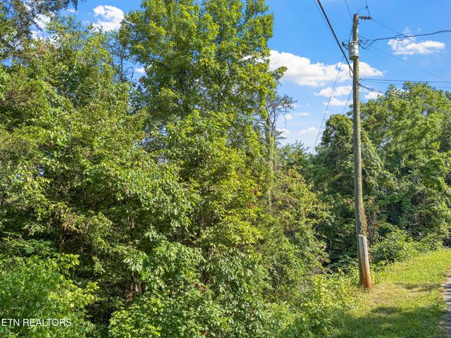 00 TBD Upper Rinehart Rd, Dandridge, TN 37725