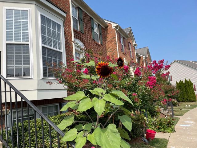 502 STONE SPRINGS LN, Middletown, MD 21769