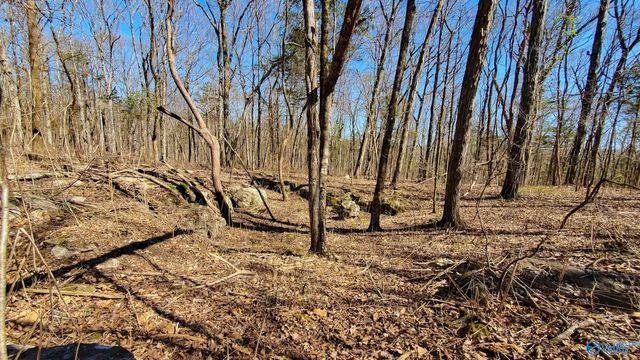 72.77 acres County Lake Road, Gurley, AL 35748