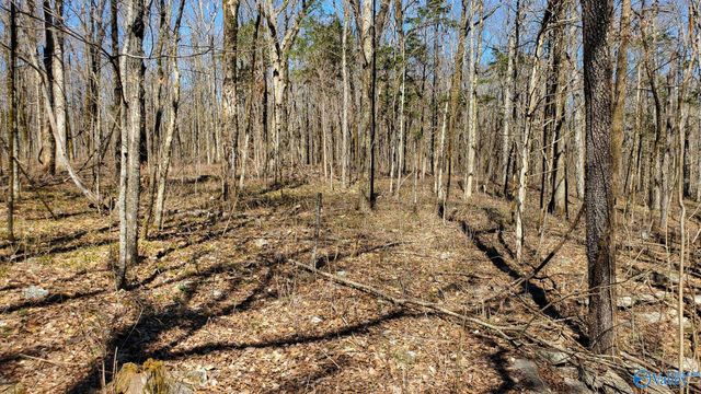 72.77 acres County Lake Road, Gurley, AL 35748