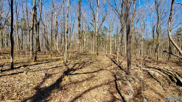 72.77 acres County Lake Road, Gurley, AL 35748