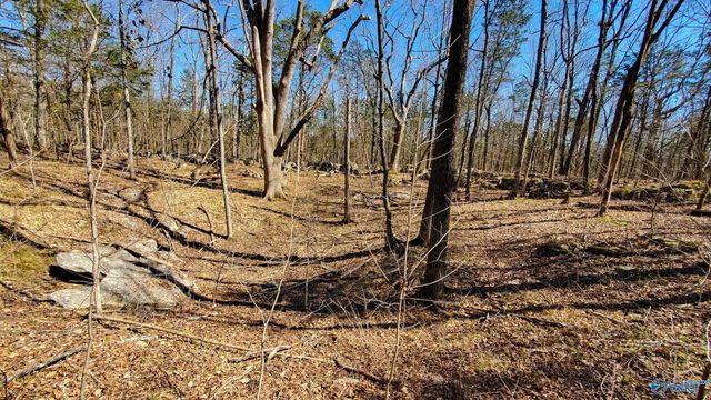72.77 acres County Lake Road, Gurley, AL 35748