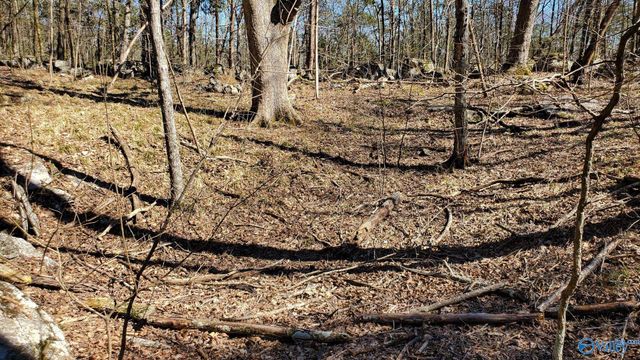 72.77 acres County Lake Road, Gurley, AL 35748