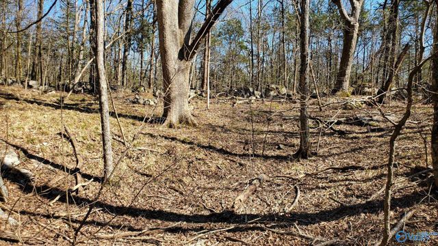 72.77 acres County Lake Road, Gurley, AL 35748