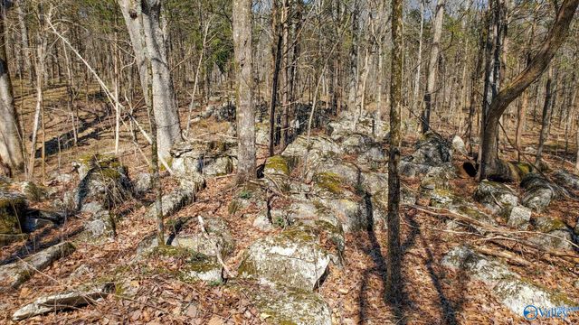 72.77 acres County Lake Road, Gurley, AL 35748