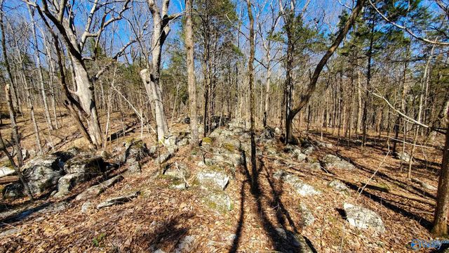 72.77 acres County Lake Road, Gurley, AL 35748