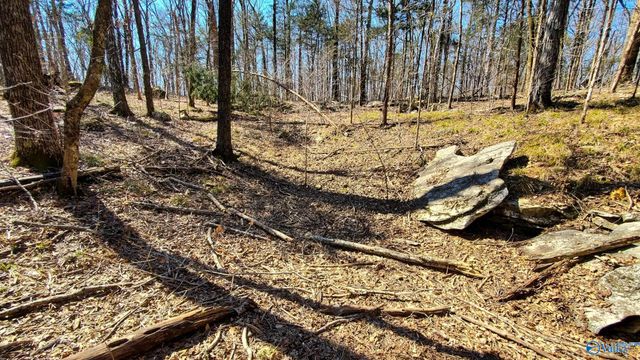 72.77 acres County Lake Road, Gurley, AL 35748