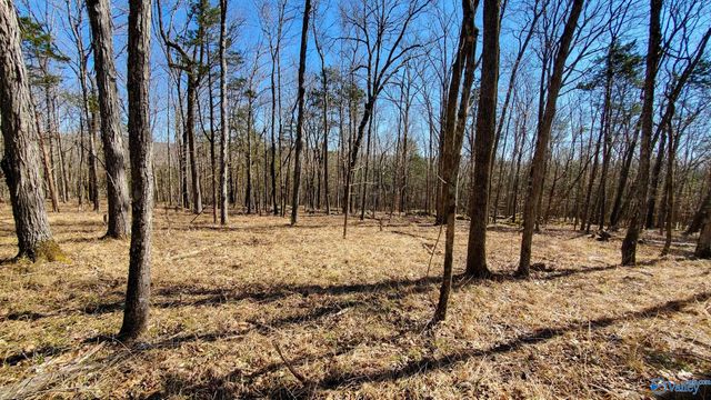 72.77 acres County Lake Road, Gurley, AL 35748
