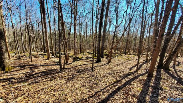 72.77 acres County Lake Road, Gurley, AL 35748