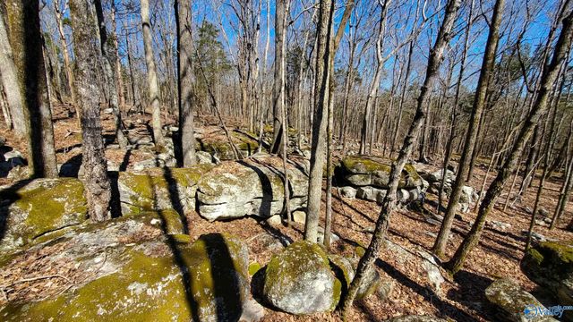 72.77 acres County Lake Road, Gurley, AL 35748