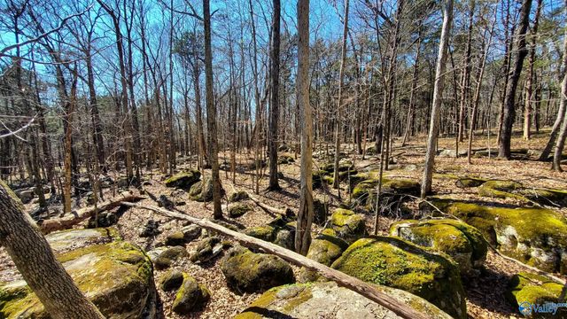 72.77 acres County Lake Road, Gurley, AL 35748