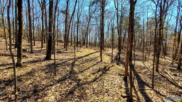 72.77 acres County Lake Road, Gurley, AL 35748