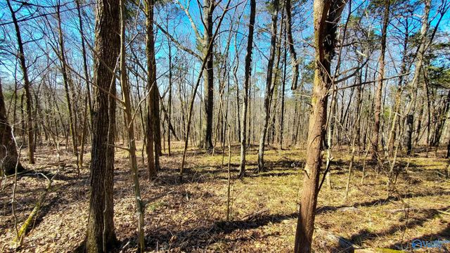 72.77 acres County Lake Road, Gurley, AL 35748