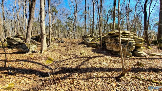 72.77 acres County Lake Road, Gurley, AL 35748