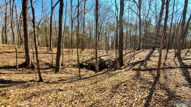 72.77 acres County Lake Road, Gurley, AL 35748