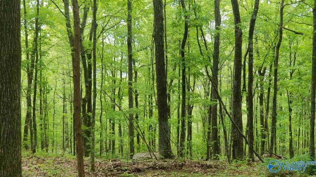72.77 acres County Lake Road, Gurley, AL 35748